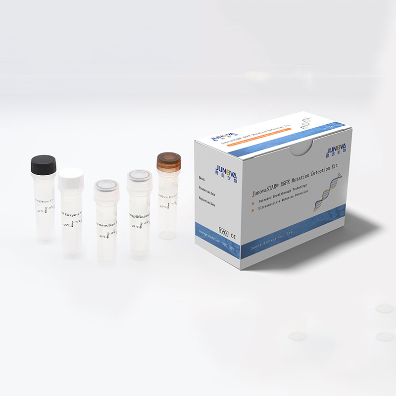 EGFR Mutation Detection Kit