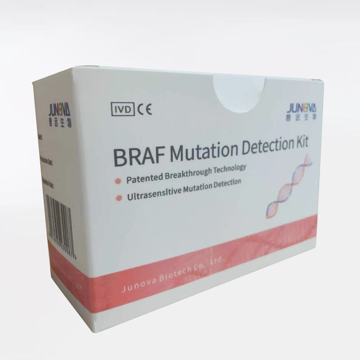 BRAF Mutation Detection Kit