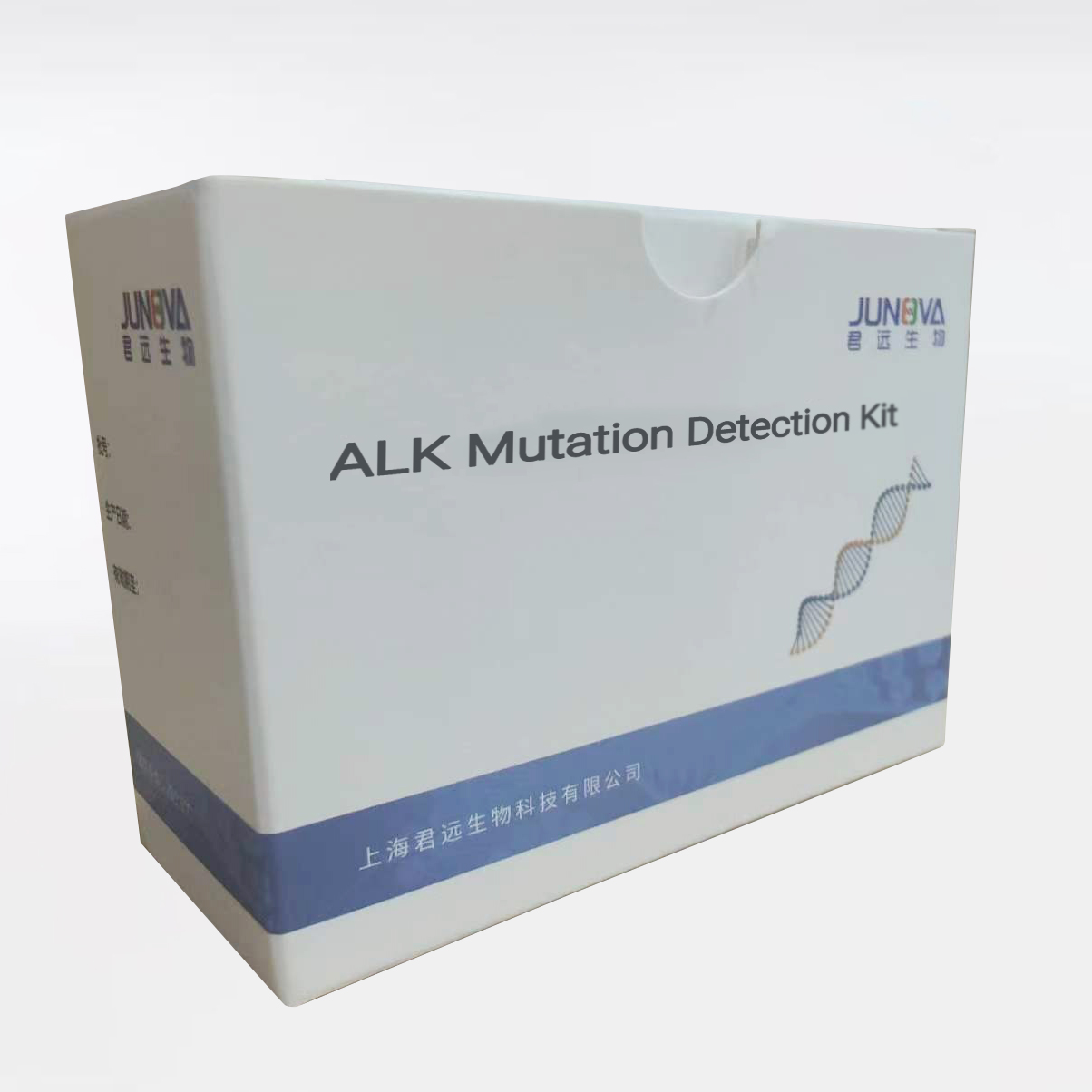 ALK Mutation Detection Kit